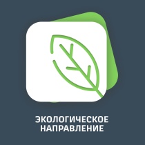 Кулакова Елена